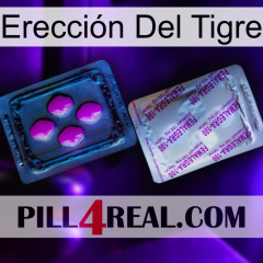 Erección Del Tigre 37